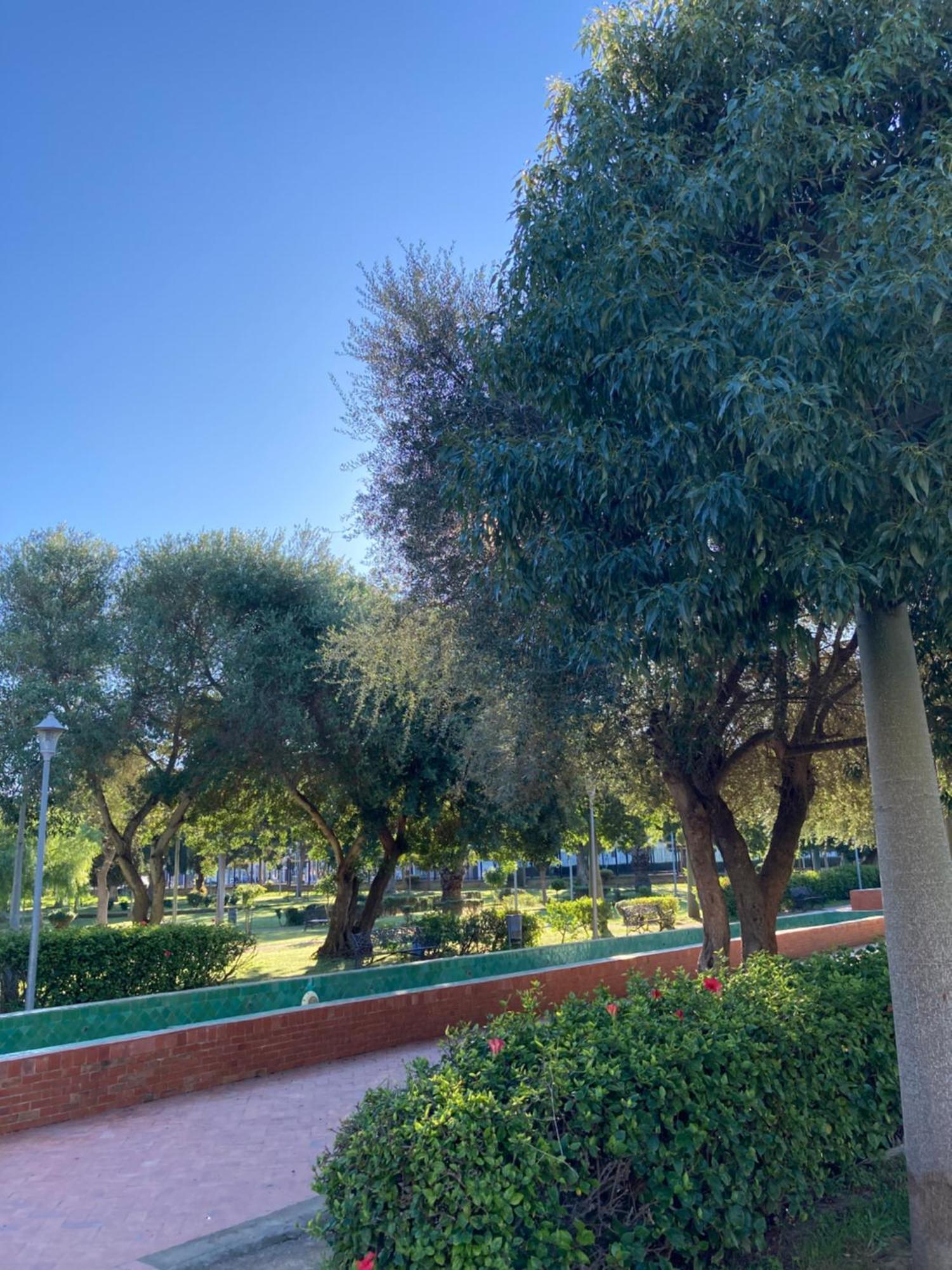 Vila Dar Said Asilah Exteriér fotografie